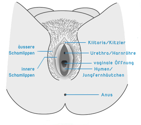 Jungfernhäutchen tampon Kann das